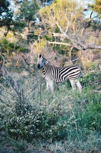 agathe-lefebure-431334-unsplash